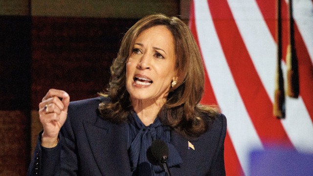 Kamala Harris speaks to Democrats at the Democratic National Convention in 2024