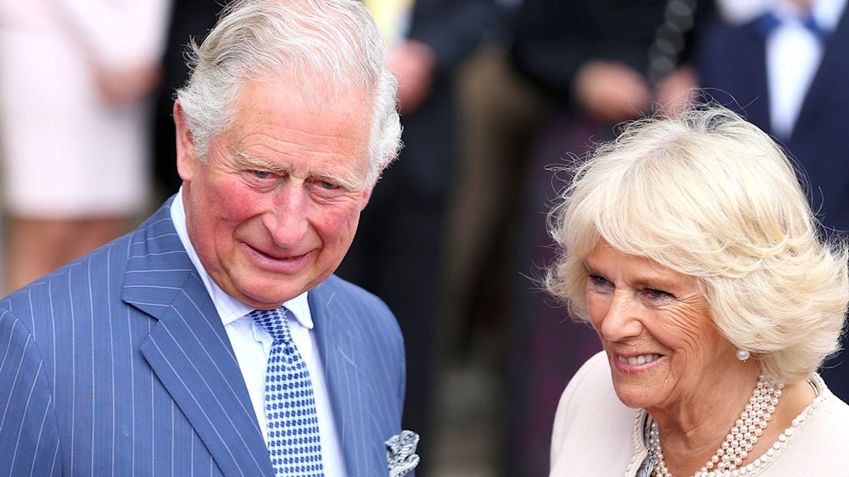 The Duchess of Cornwall looks so dreamy in the most coordinated outfit ...