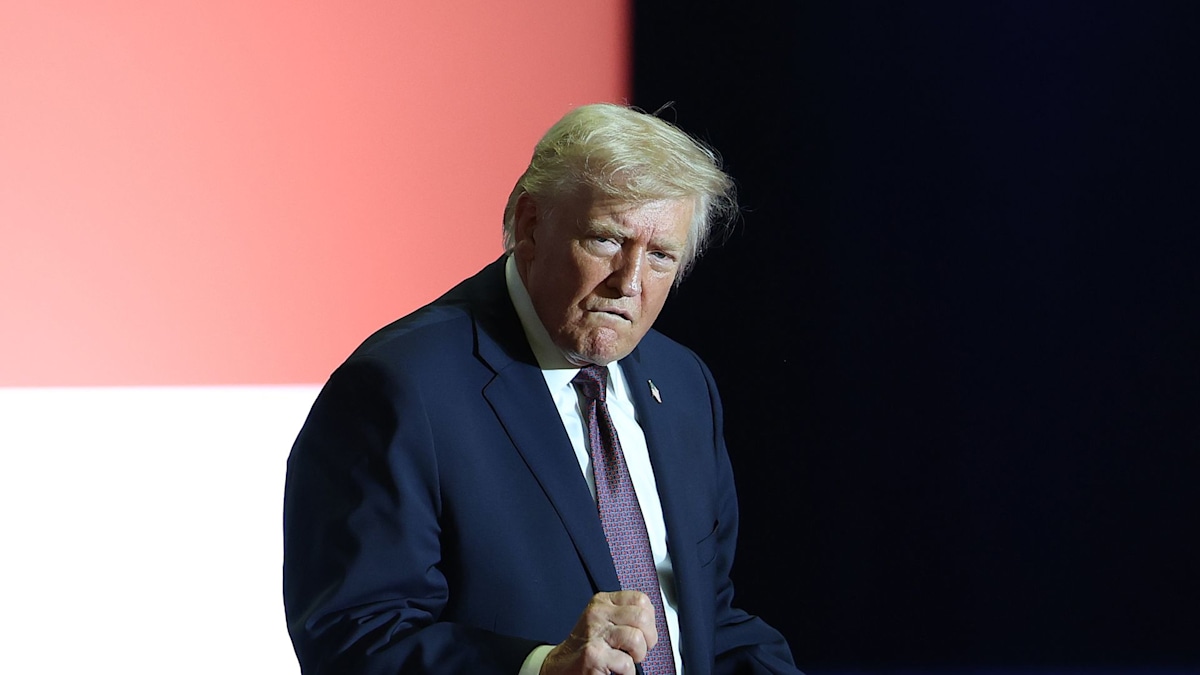 President Donald Trump describes wife Melania's 'perfect panties' during FBI raid ramble