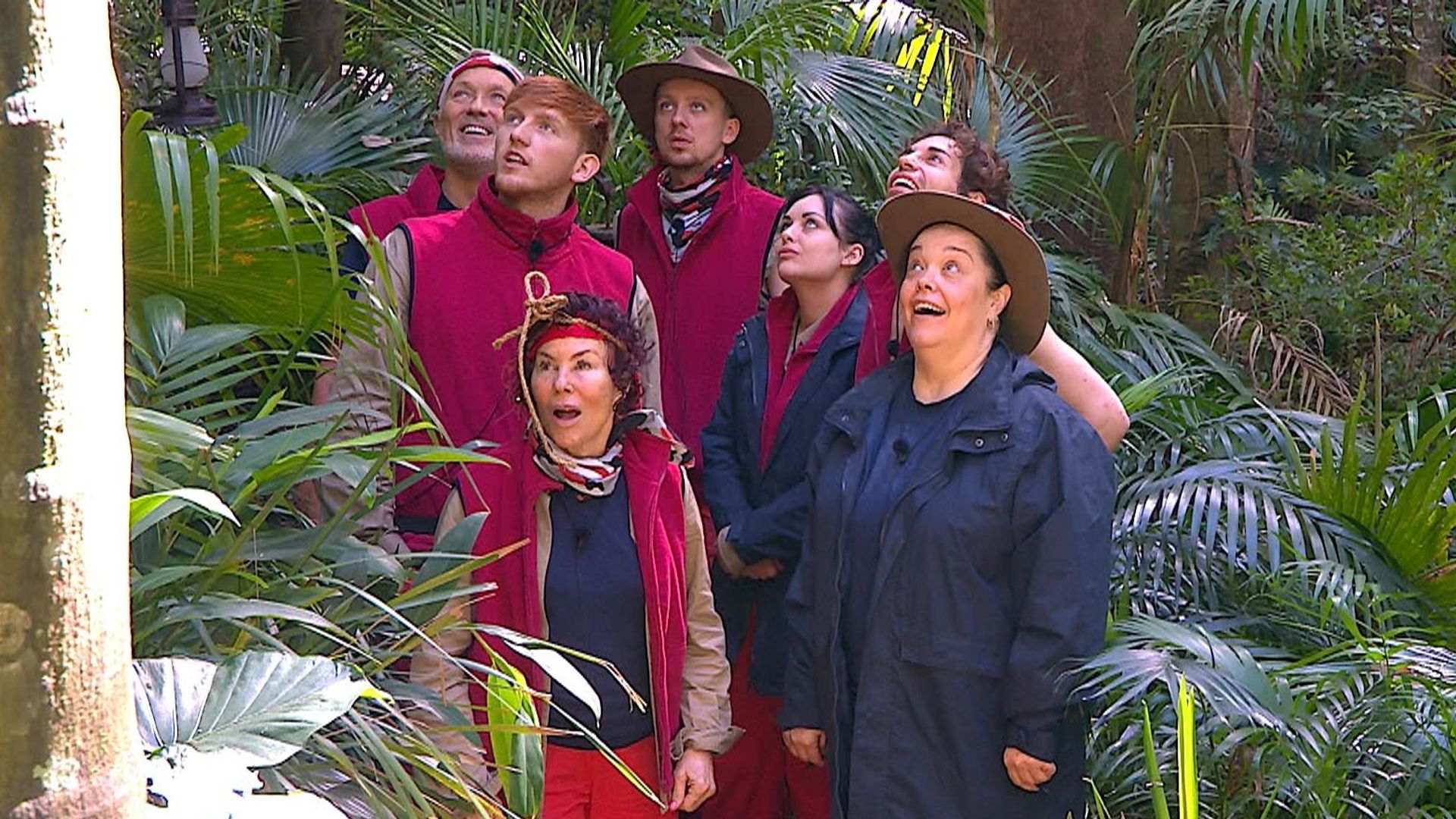 Who left I'm A Celebrity last night? All the evicted and remaining stars