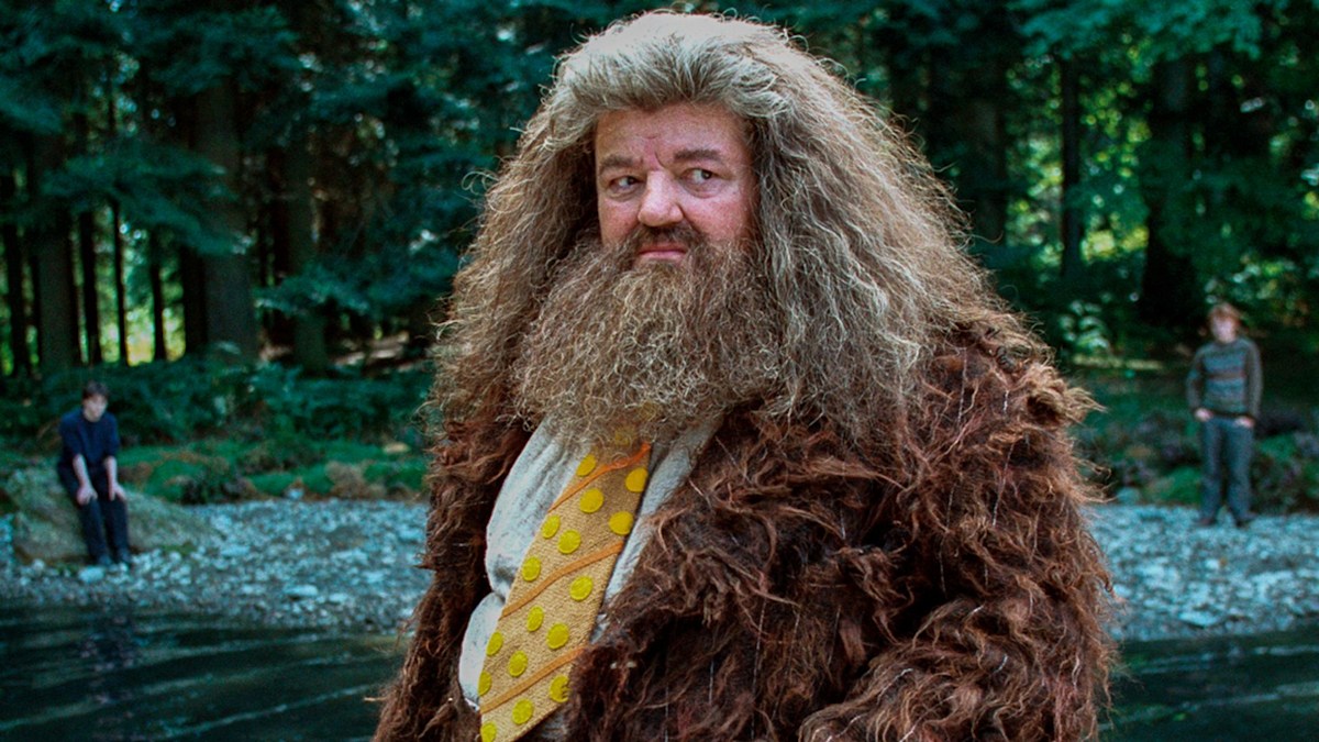 Harry Potter director delivers scathing comment after seeing first photos of Hagrid
