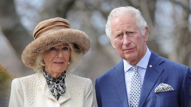 Charles and Camilla looking serious