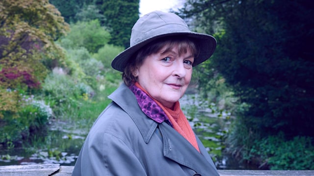 BRENDA BLETHYN as DCI Vera Stanhope