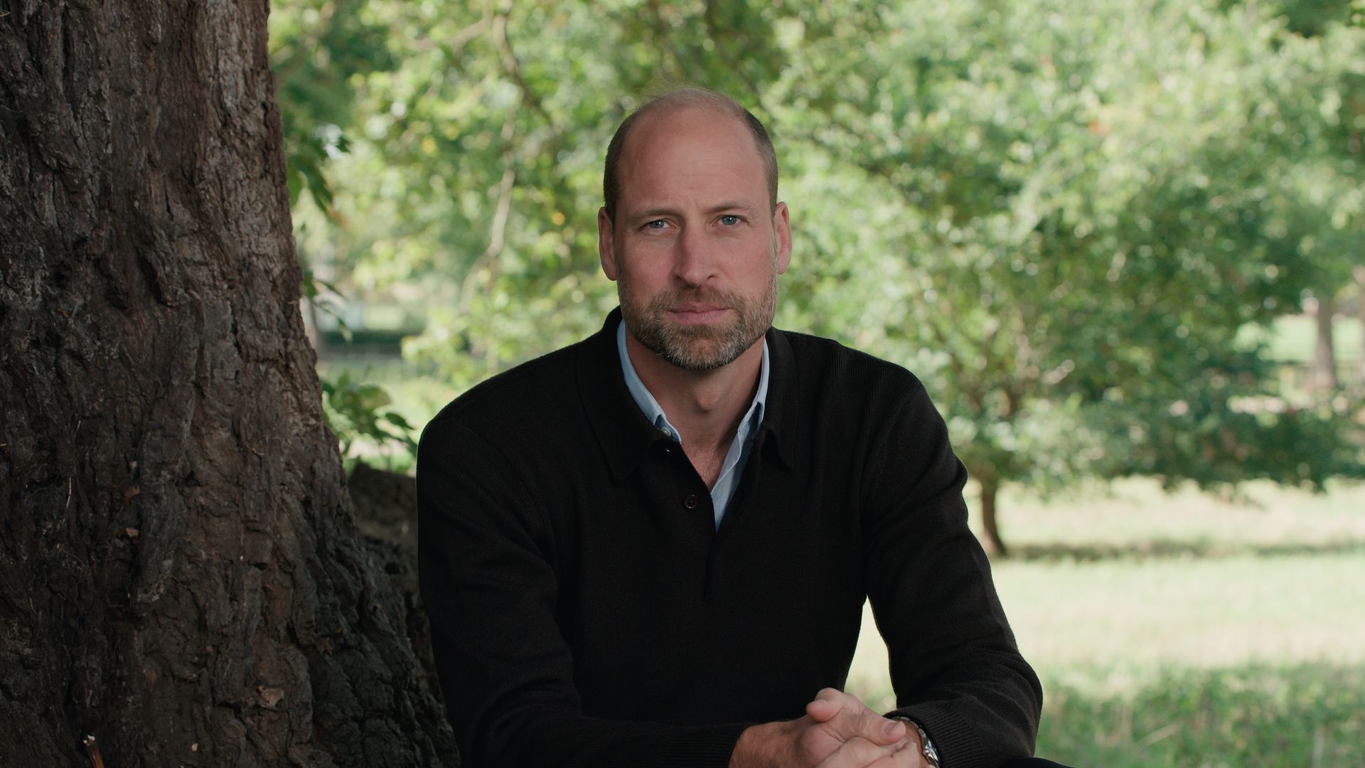 Prince William sitting under a tree
