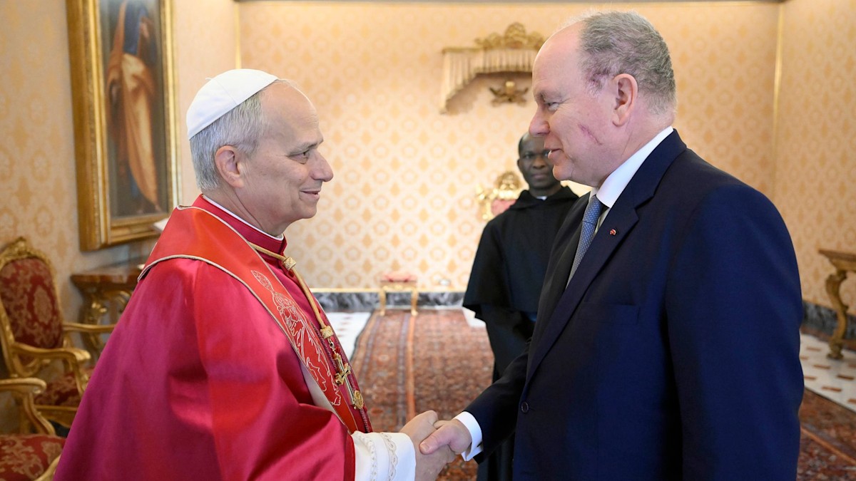 Prince Albert sports facial scar as he makes first appearance since 'short' medical procedure