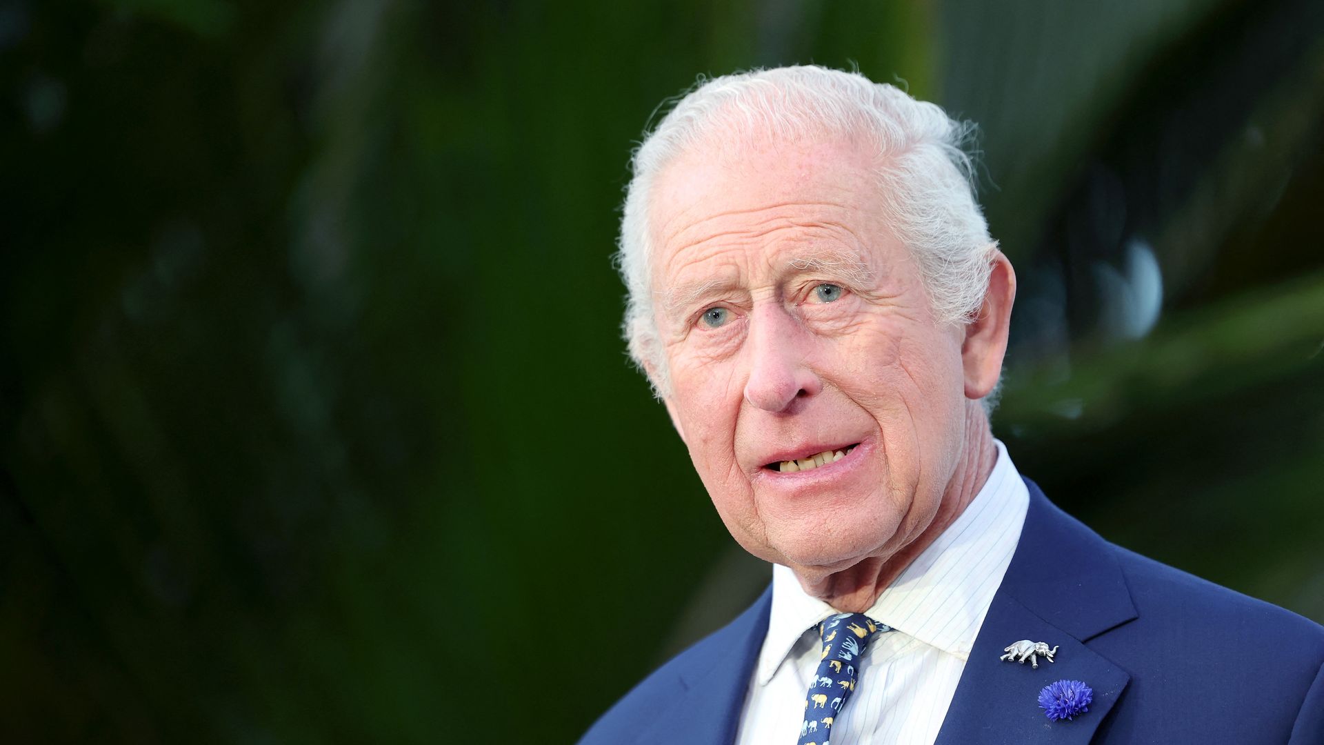 charles with blue suit on 