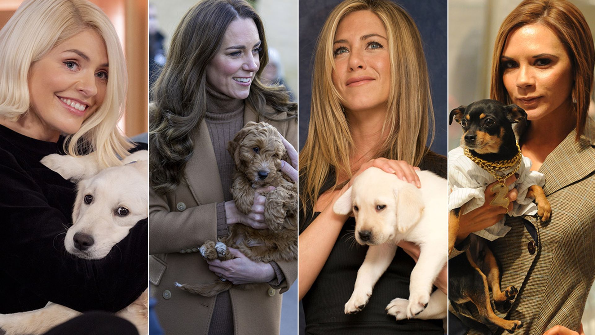 Celebrities With Lookalike Pets Kate Middleton David Beckham Holly