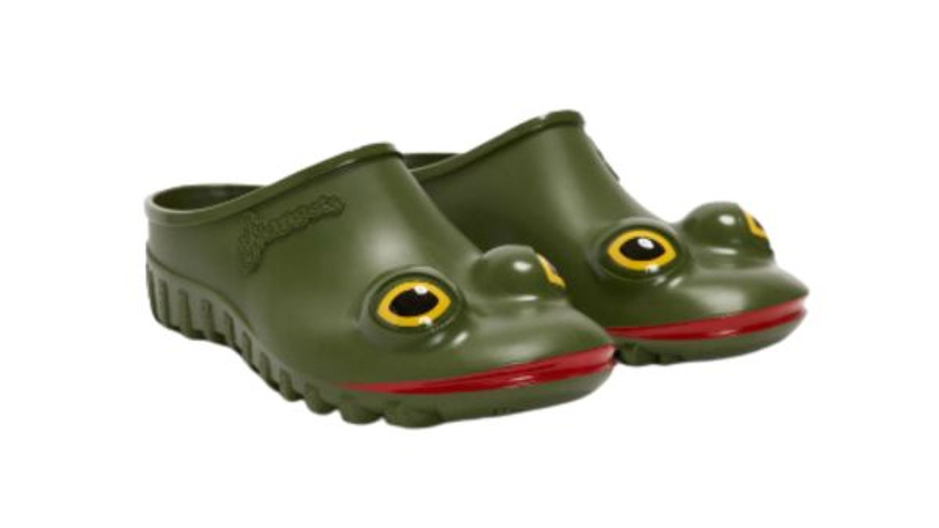 Frog clogs 