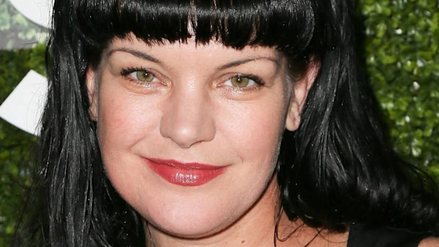 ncis pauley perrette home life