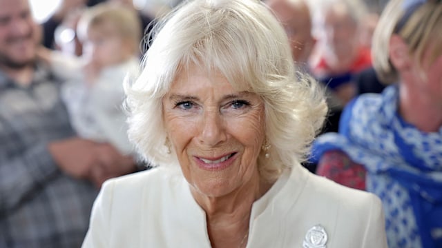 duchess camilla maxmara