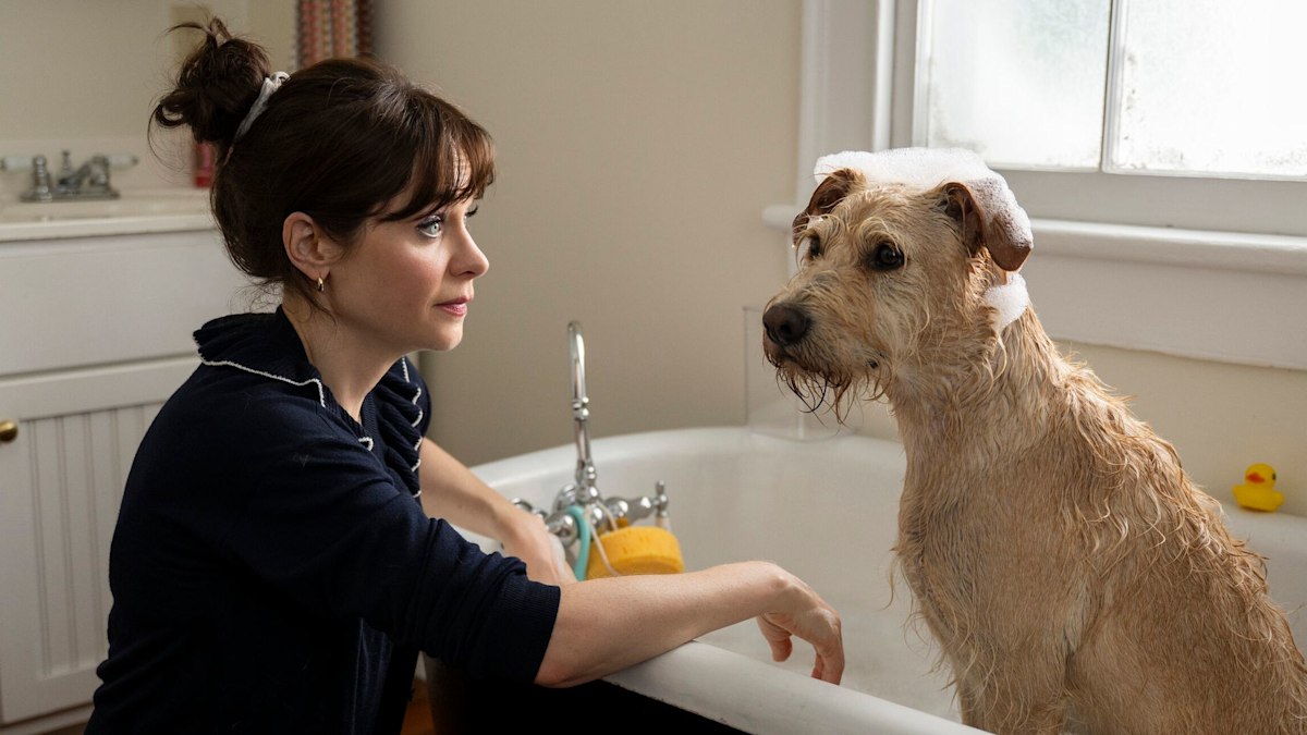 Light-hearted rom-com hailed as 'absolute delight' is the perfect holiday watch