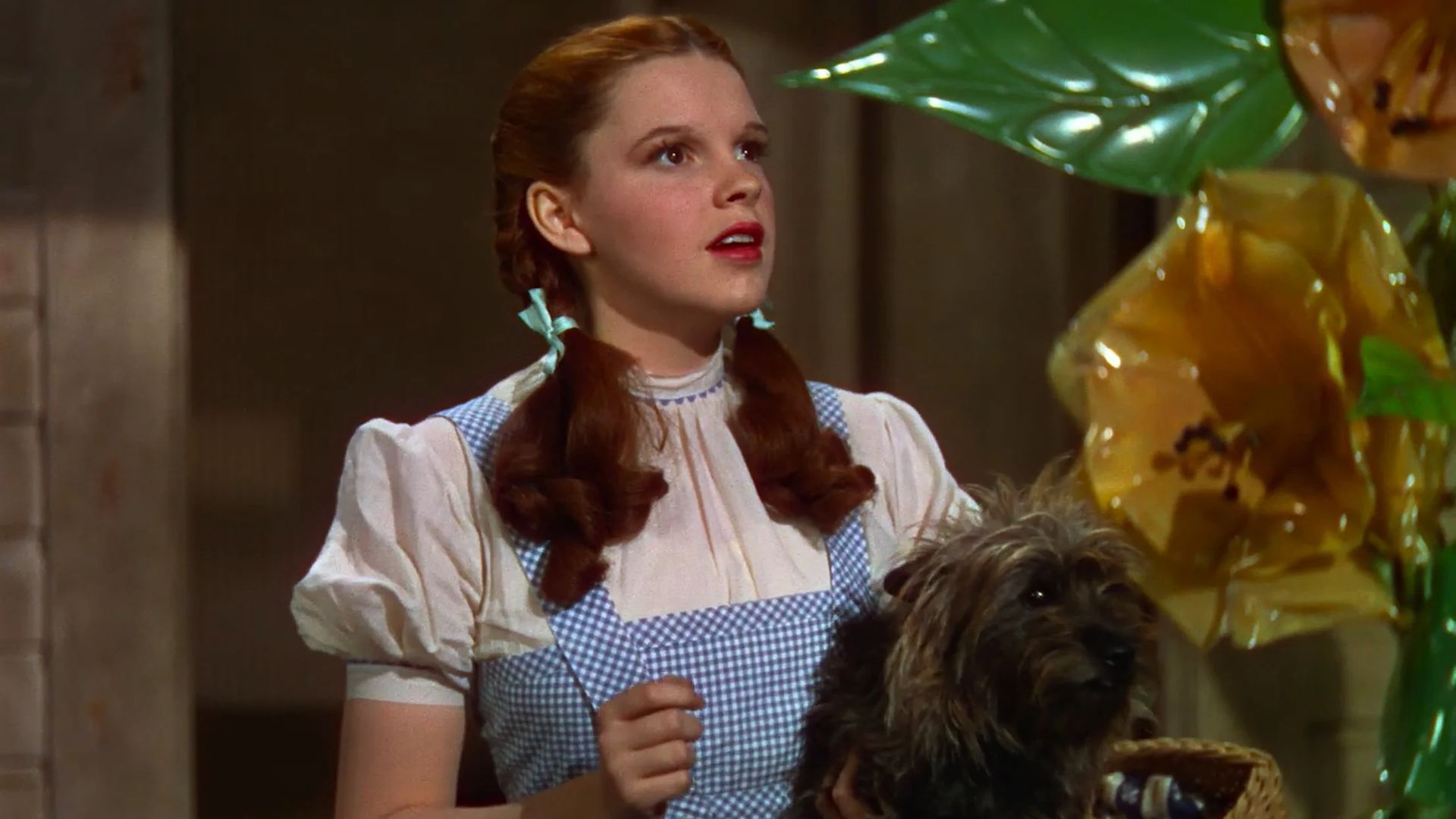 the wizard of oz gingham dress
