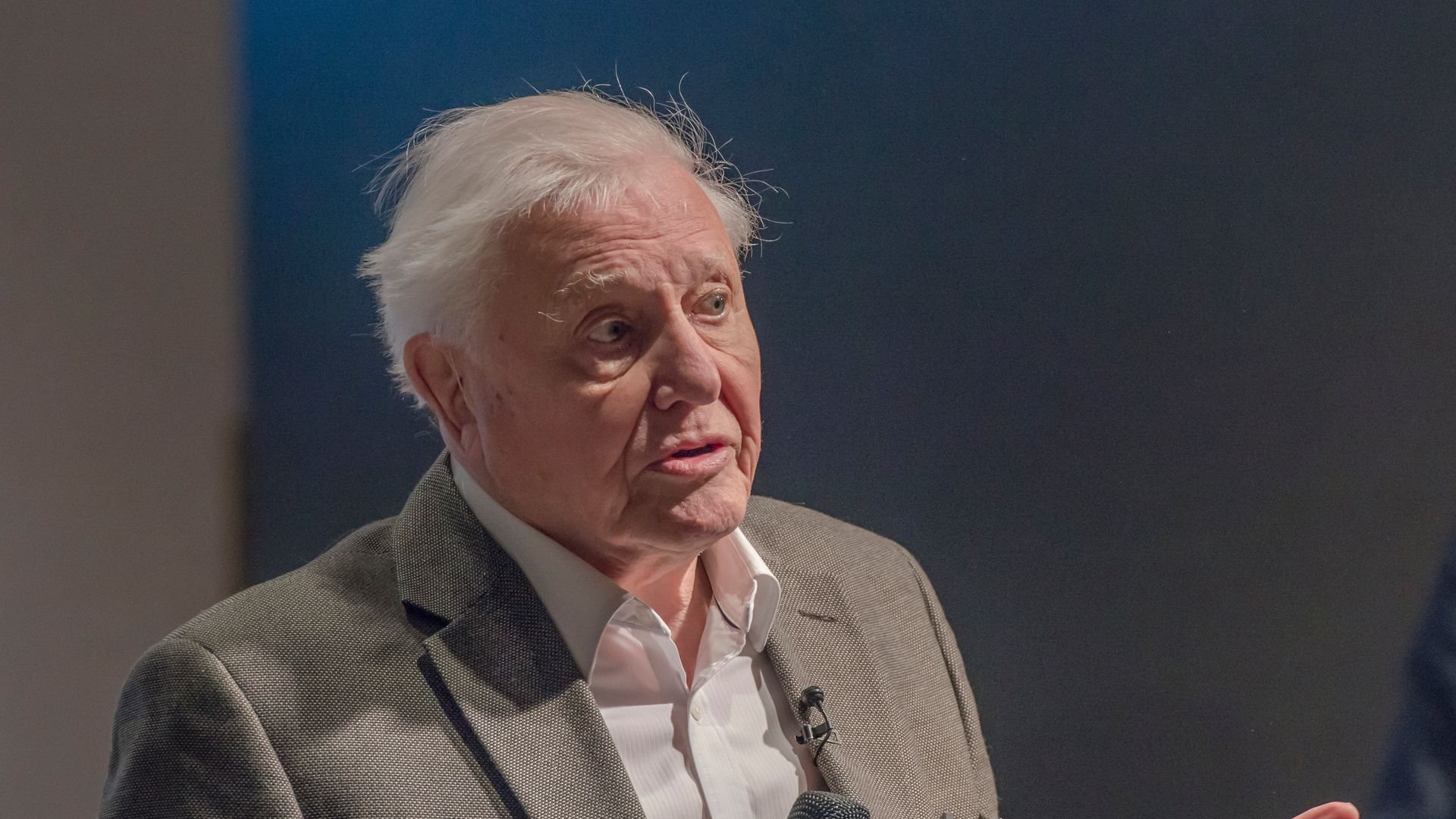 man talking into microphone on stage