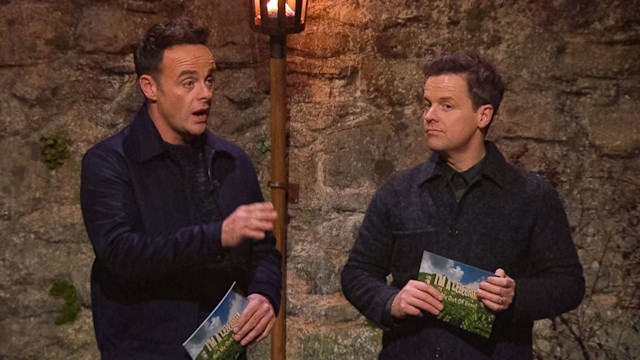 ant and dec castle