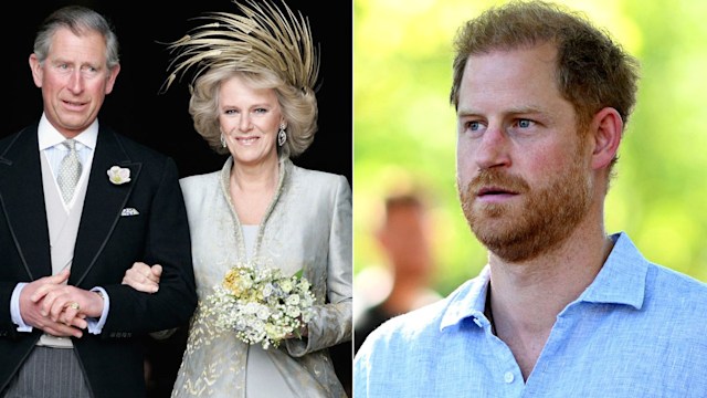 A split image of Prince Harry and King Charles and Queen Camilla