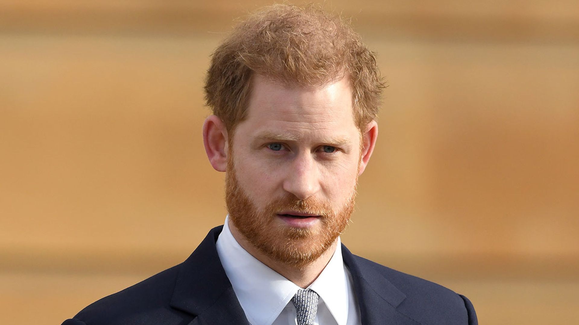 Prince Harry reveals concerns for Archie and Lilibet's safety in High