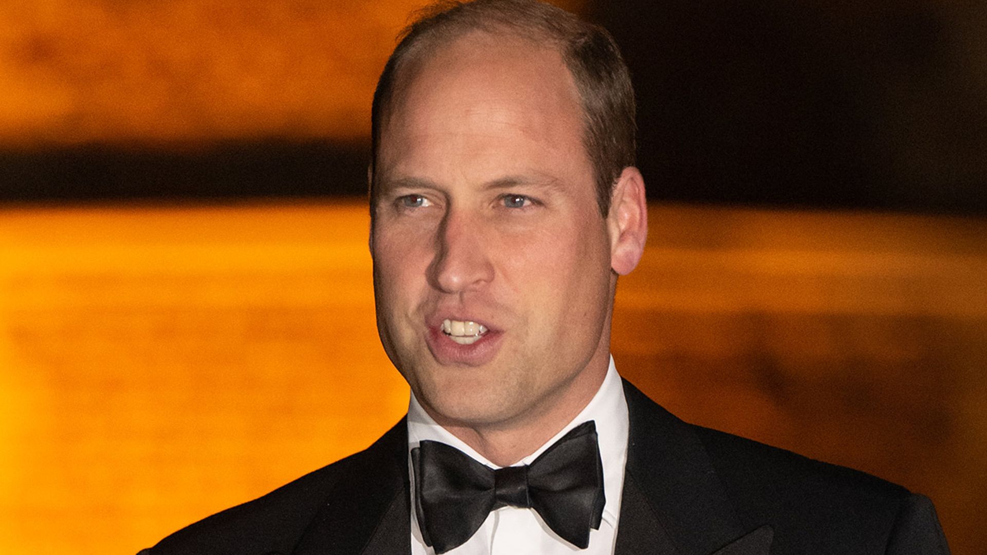 prince william tusk conservation awards