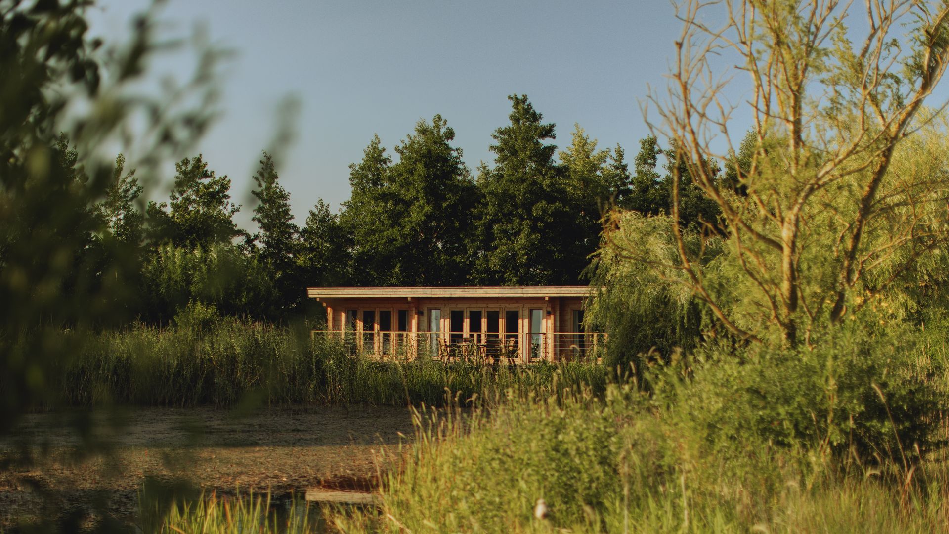 lodge hidden away in trees in front of pond