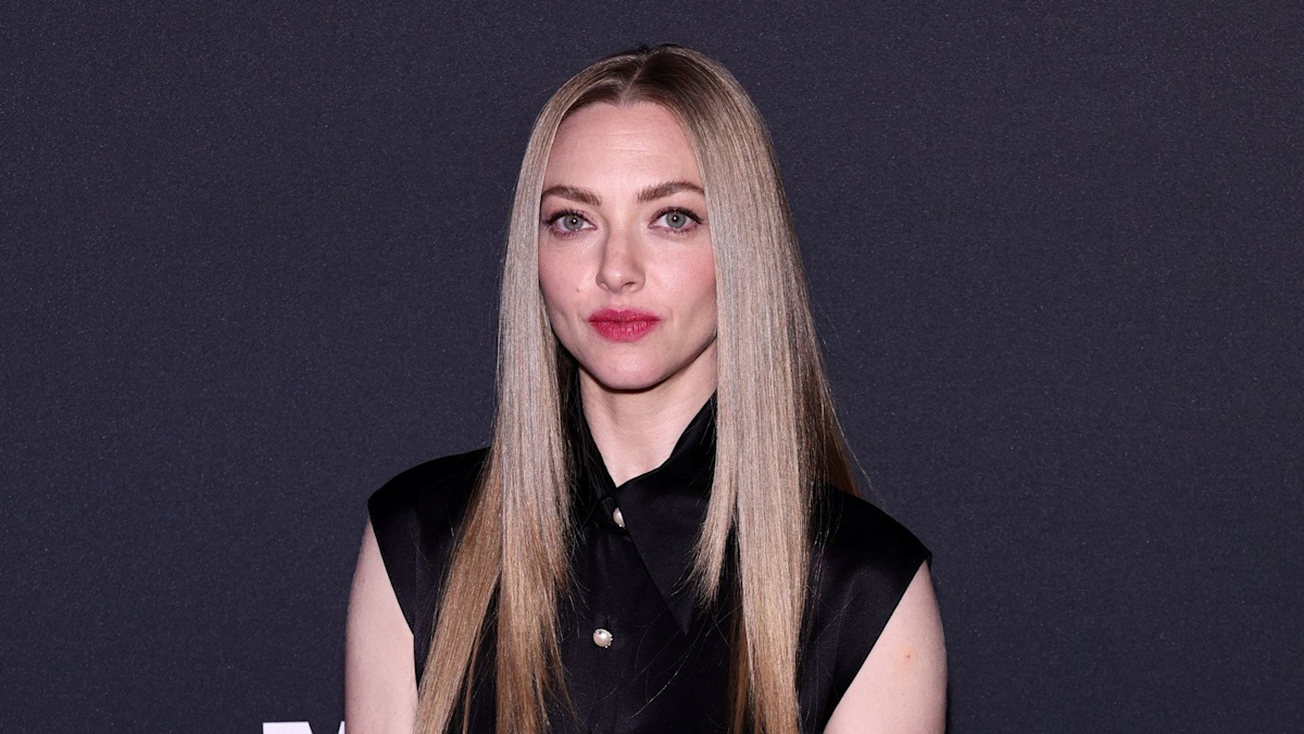 Amanda Seyfried leads the best dressed at the Museum of Modern Arts Benefit