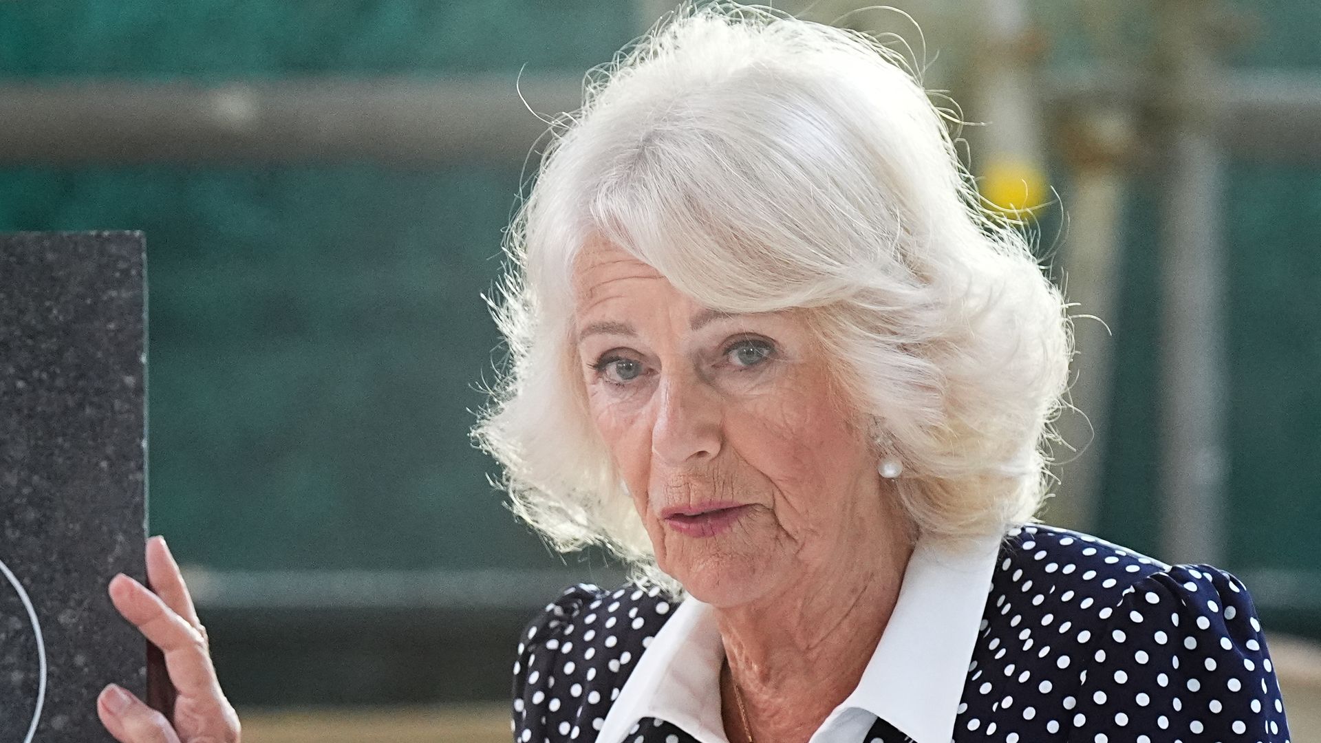 Queen Camilla inadvertently reveals 'softer' personality during public engagement