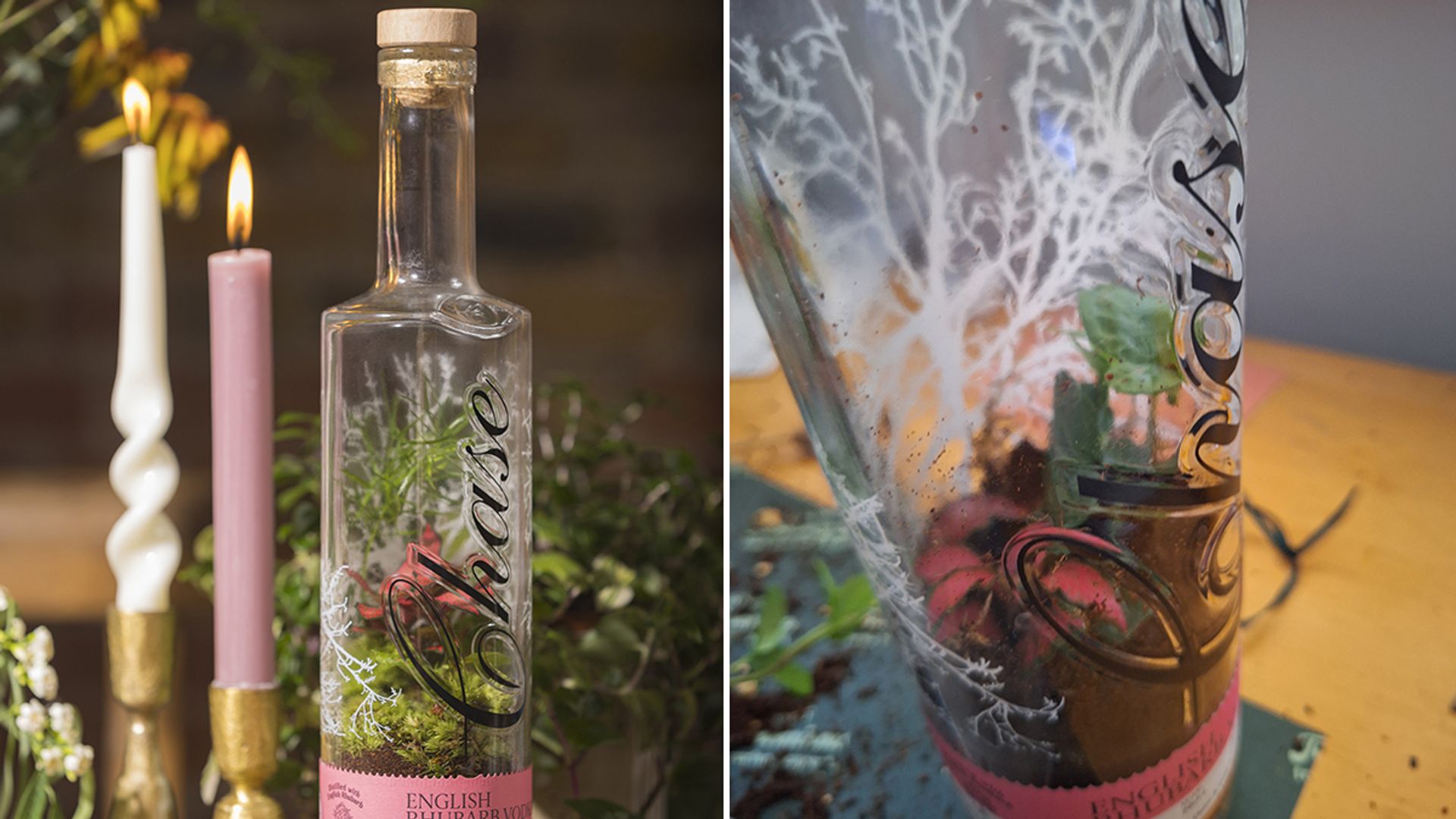 A side-by-side image of professional terrarium and journalist's attempt at one