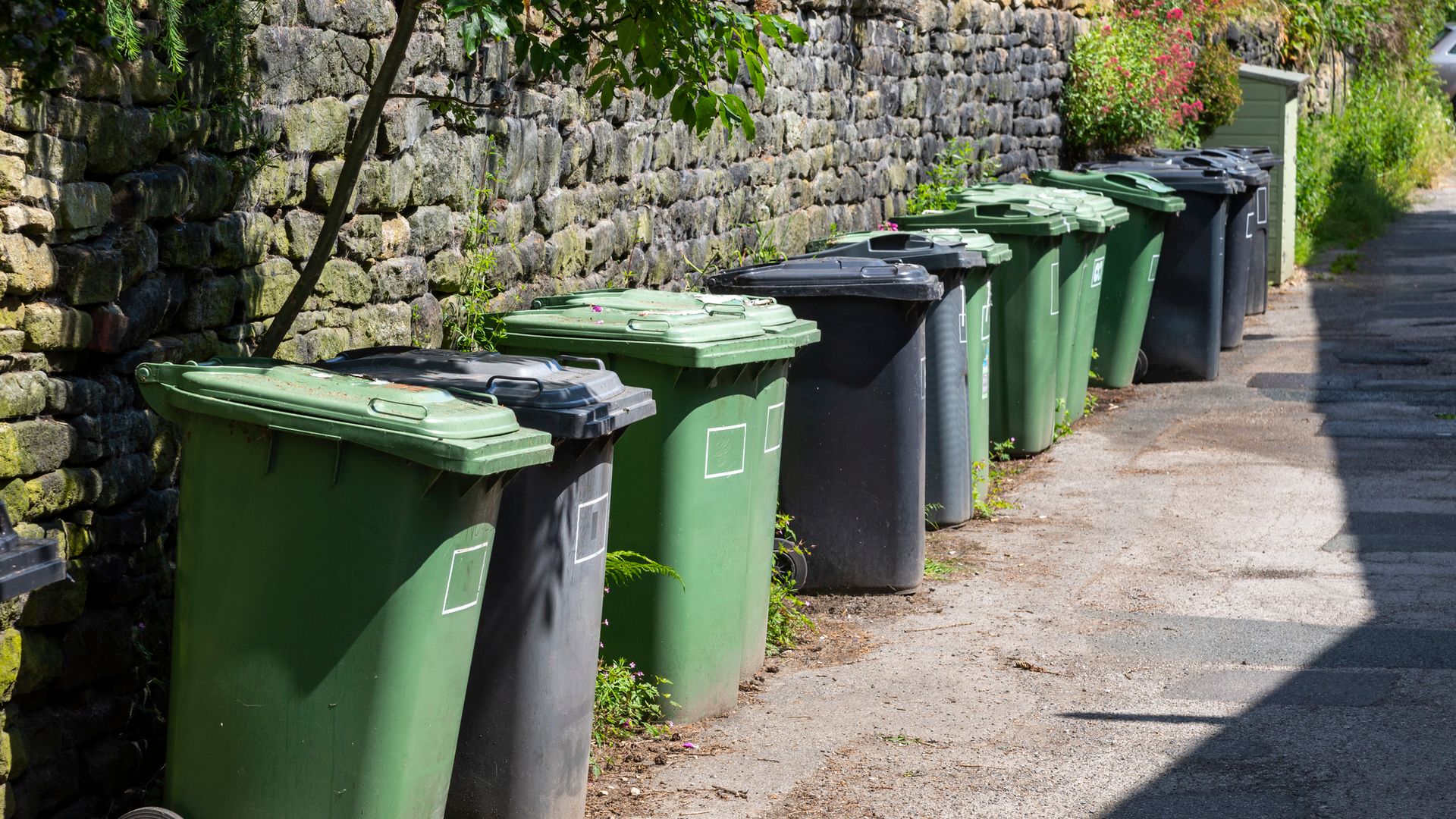 Line of Wheelie bins