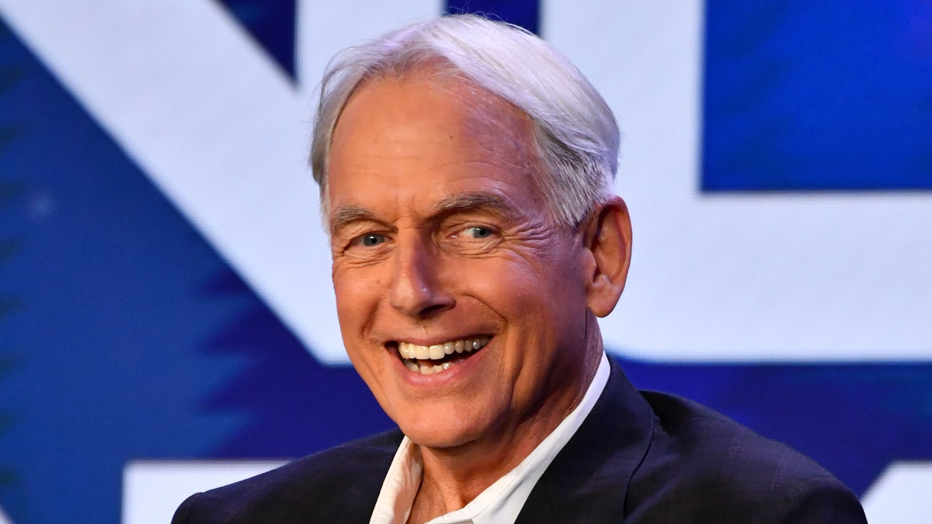 Exclusive: How Mark Harmon's wife Pam Dawber helped fellow NCIS star start career: 'We owe them'