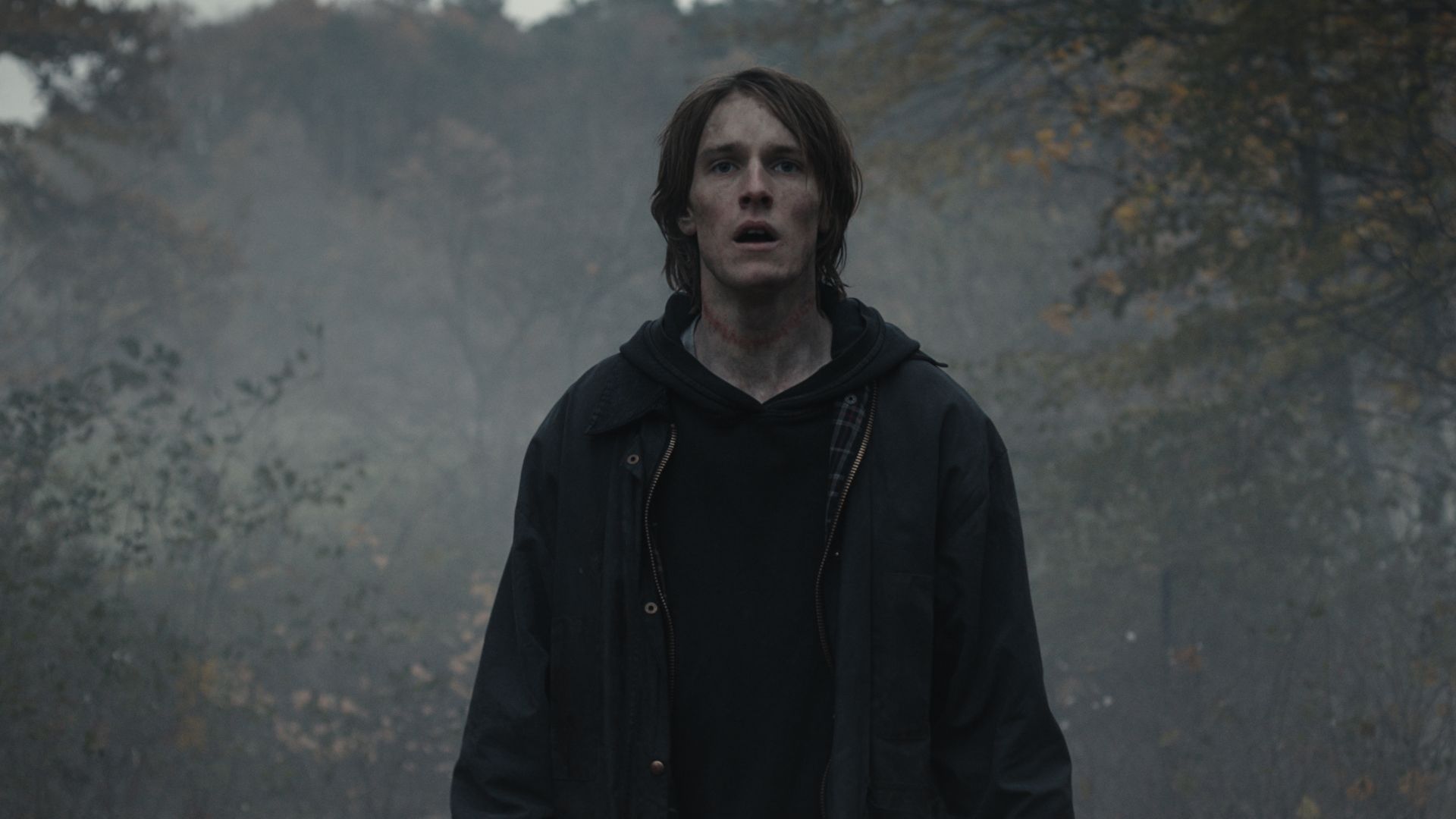Still from Dark showing a man standing alone in a foggy forest
