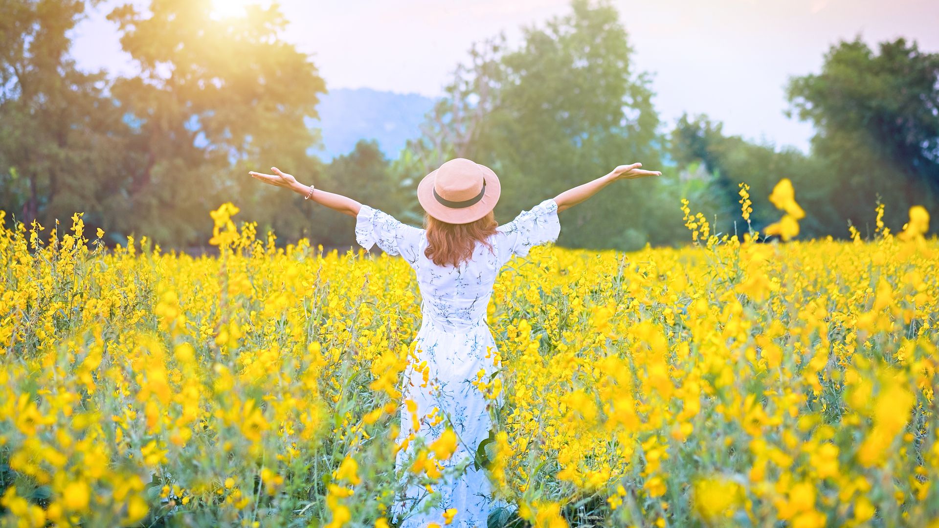 Young woman in a hat and dress in a meadow of yellow flowers