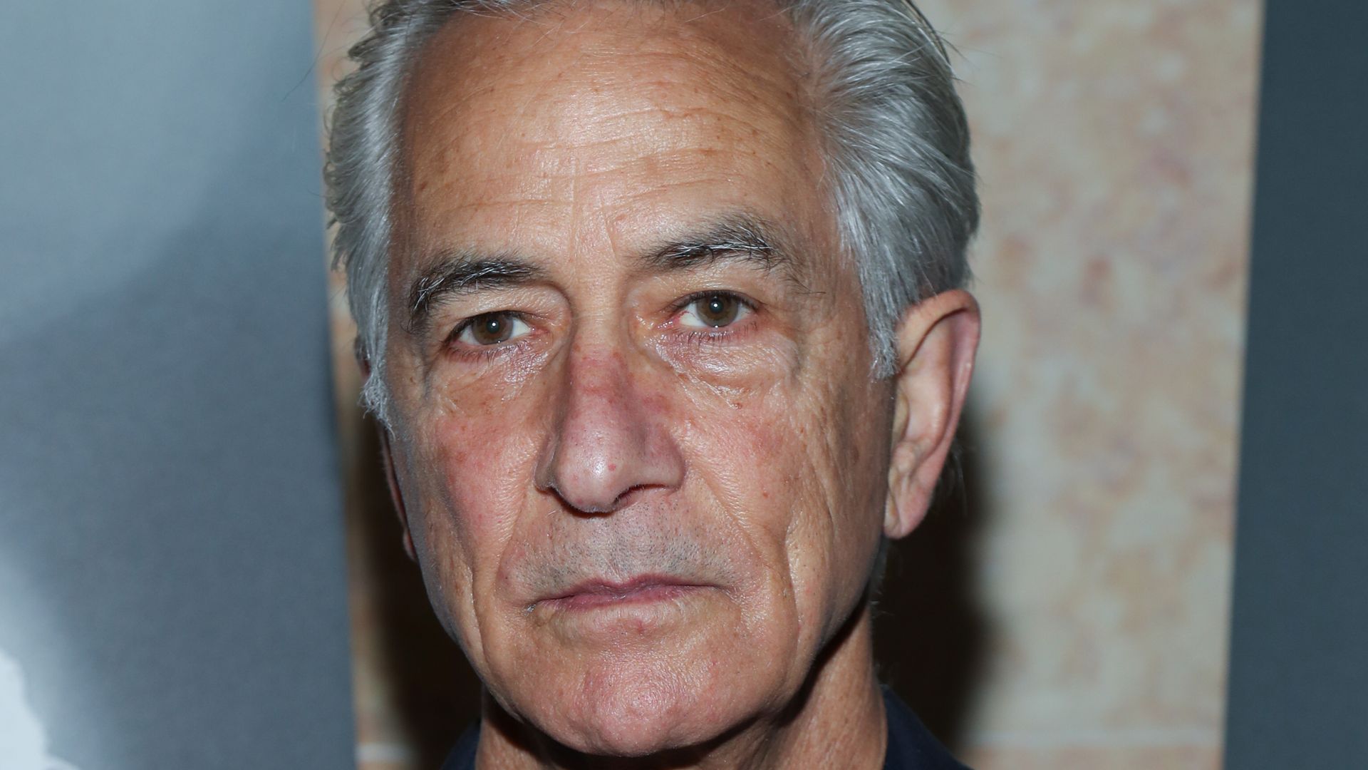 David Strathairn attends the Remember This New York screening at Museum of Jewish Heritage