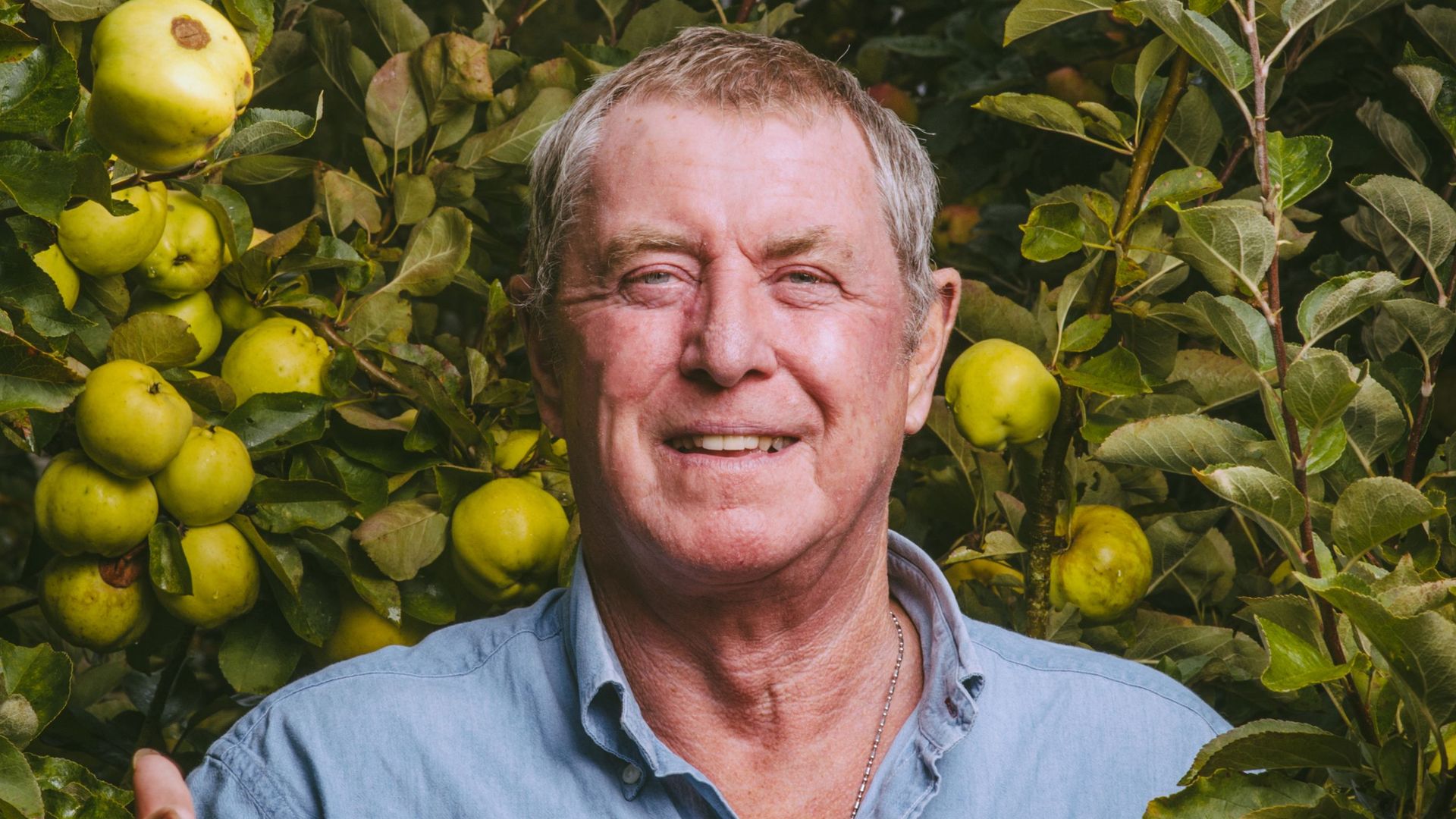 Man with grey hair standing next to apple tree