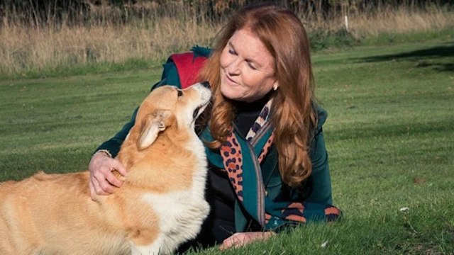 Sarah Ferguson is excited to walk her corgis again