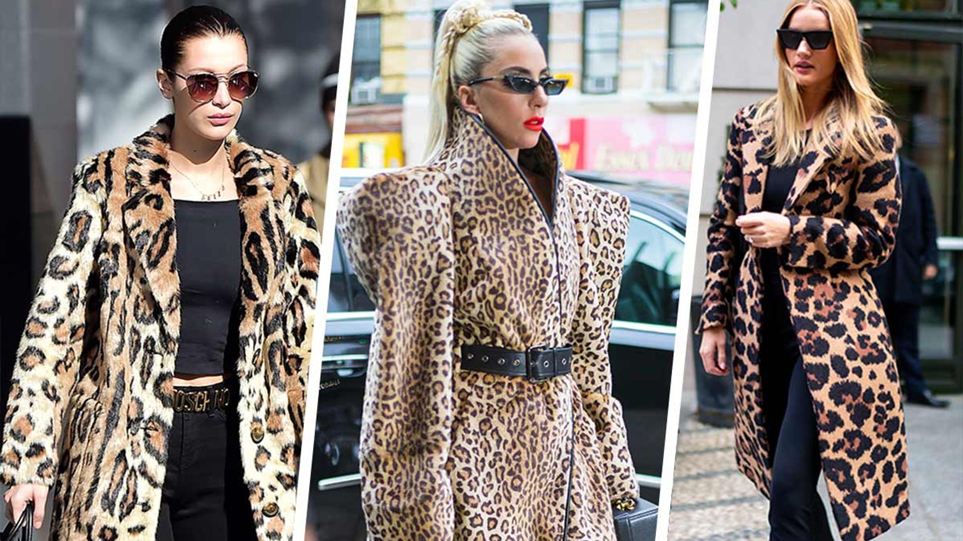 Animal print outlet coats