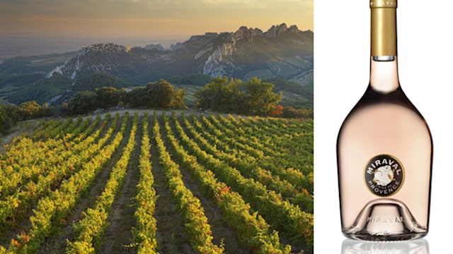 vineyard provence  