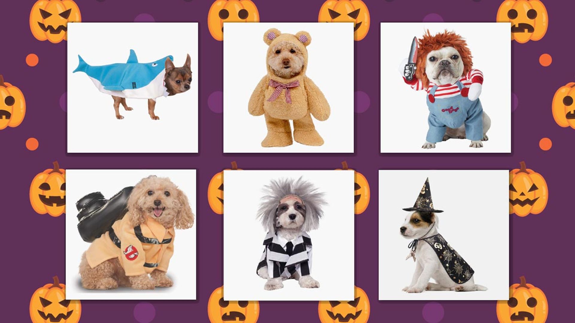17 best Halloween costumes for dogs of all sizes – from pumpkins to scary spiders