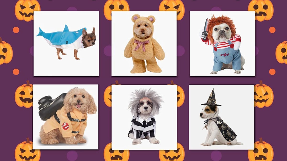Best dog costumes for Halloween 2022: From pumpkins, ghostbusters