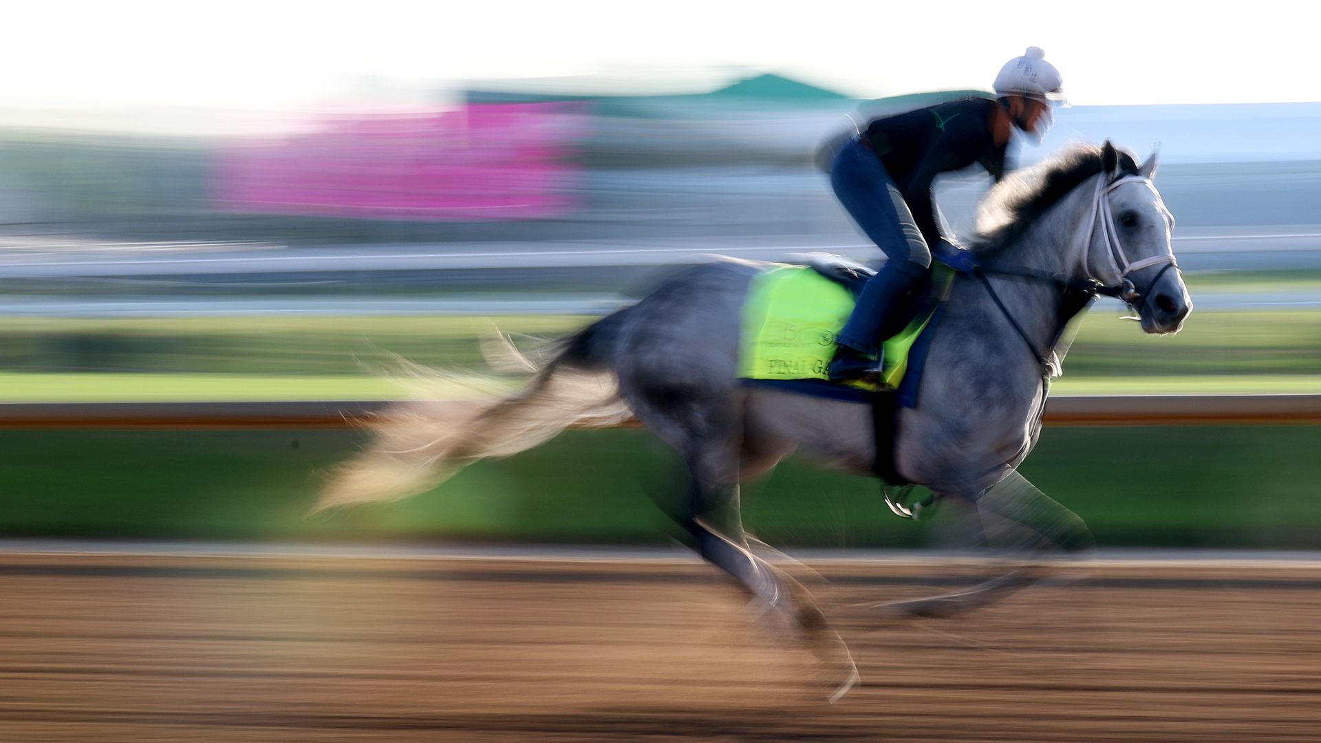  Final Gambit trains on the track during morning workouts prior to the 151st Kentucky Derby at Churchill Downs on May 02, 2025 in Louisville, Kentucky