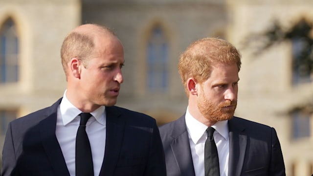 Prince William and Prince Harry