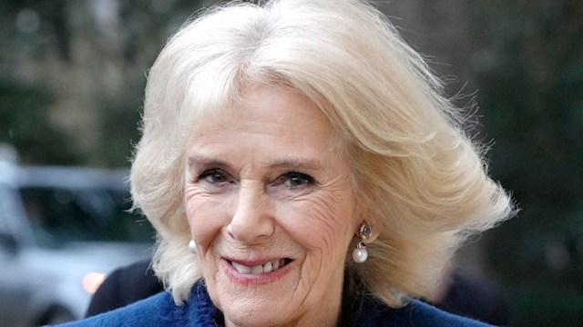 queen consort camilla post covid