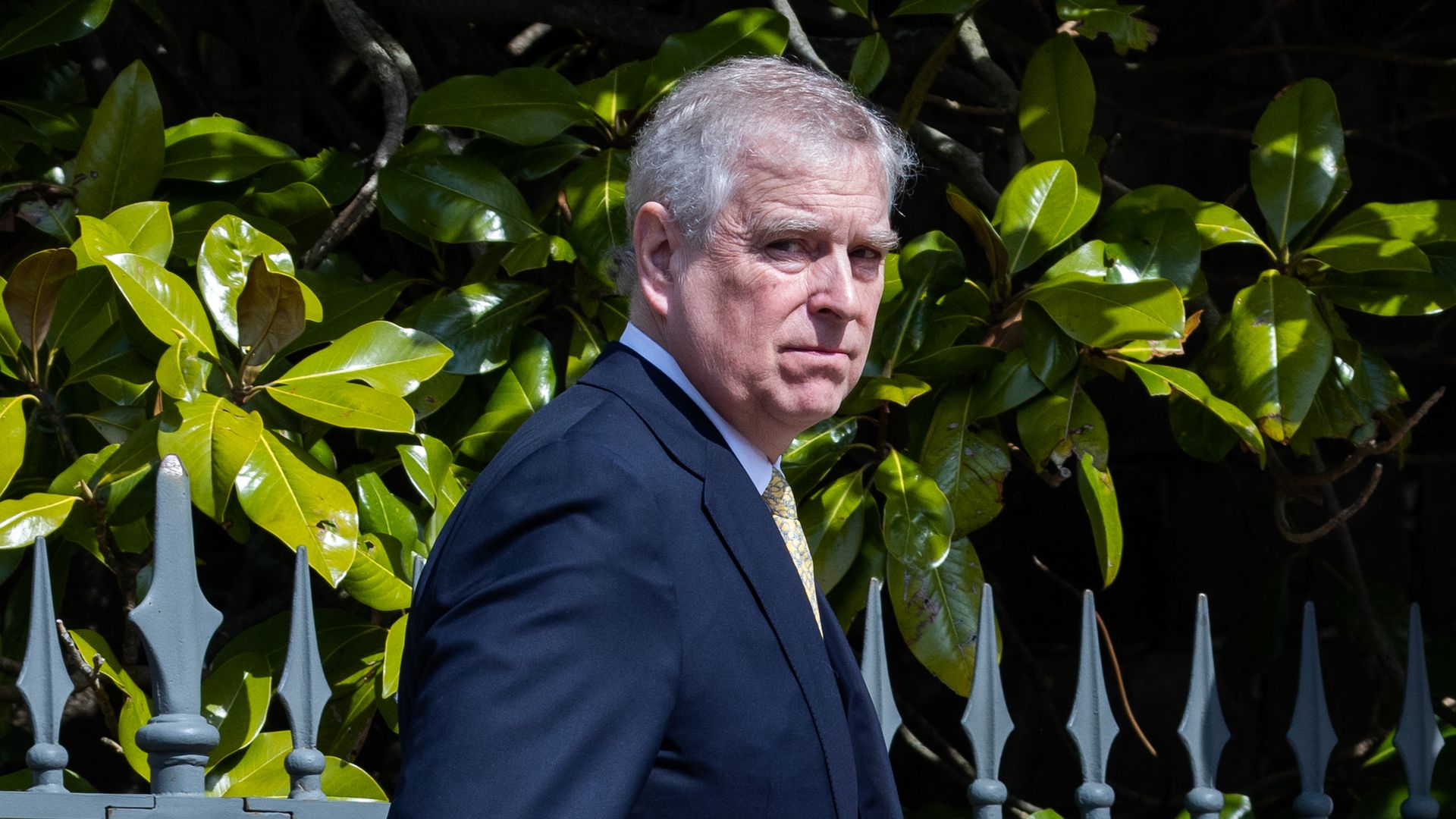 prince andrew in suit by railings and foliage 