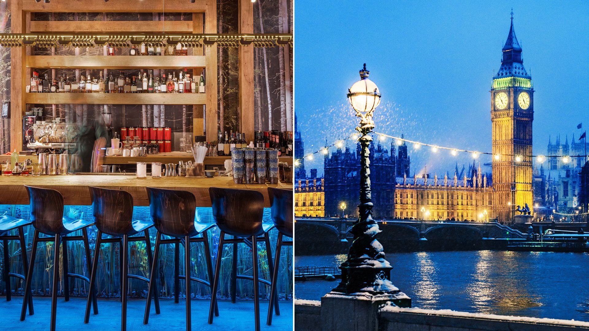 23 Heartwarming things to do in London in November 2025 – including a rooftop tipple