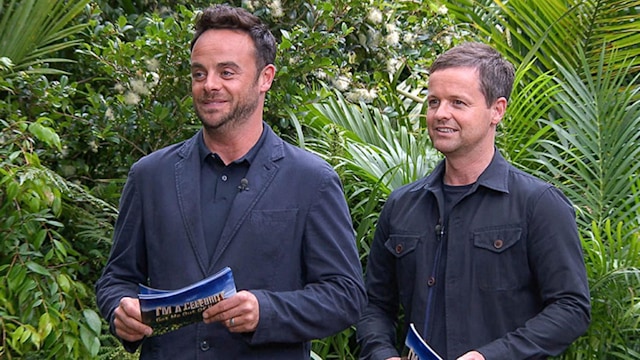 ant and dec im a celeb1