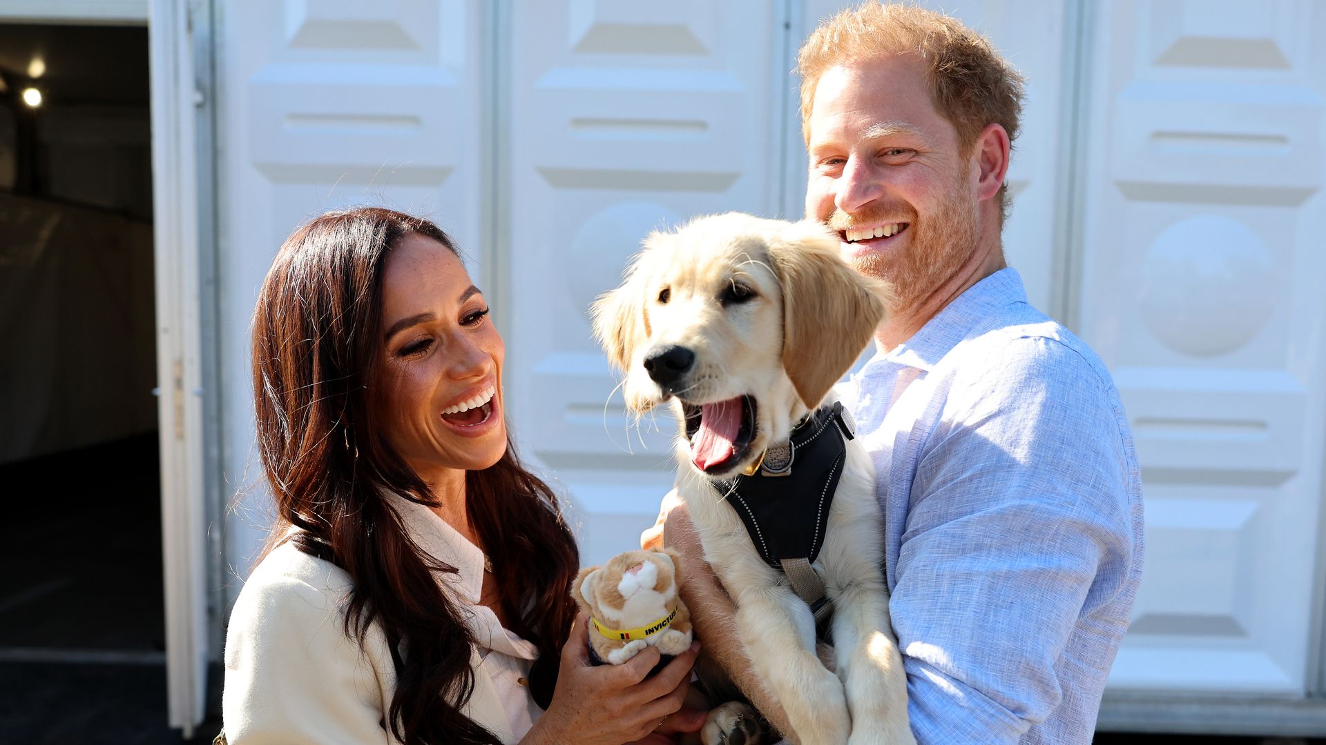 Prince Harry and Meghan Markle pet dog on day seven of Invictus Games