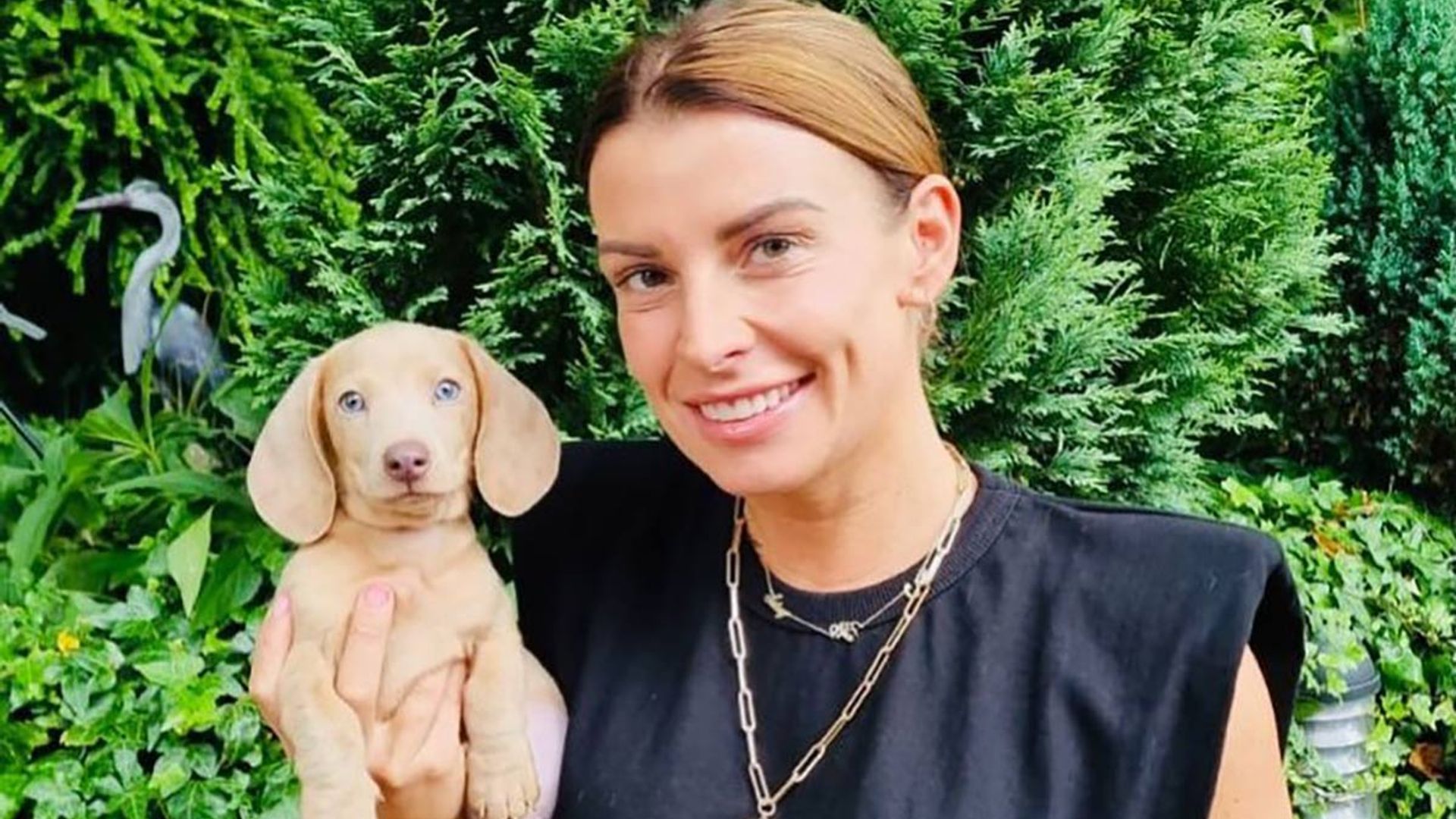 coleen rooney and dog