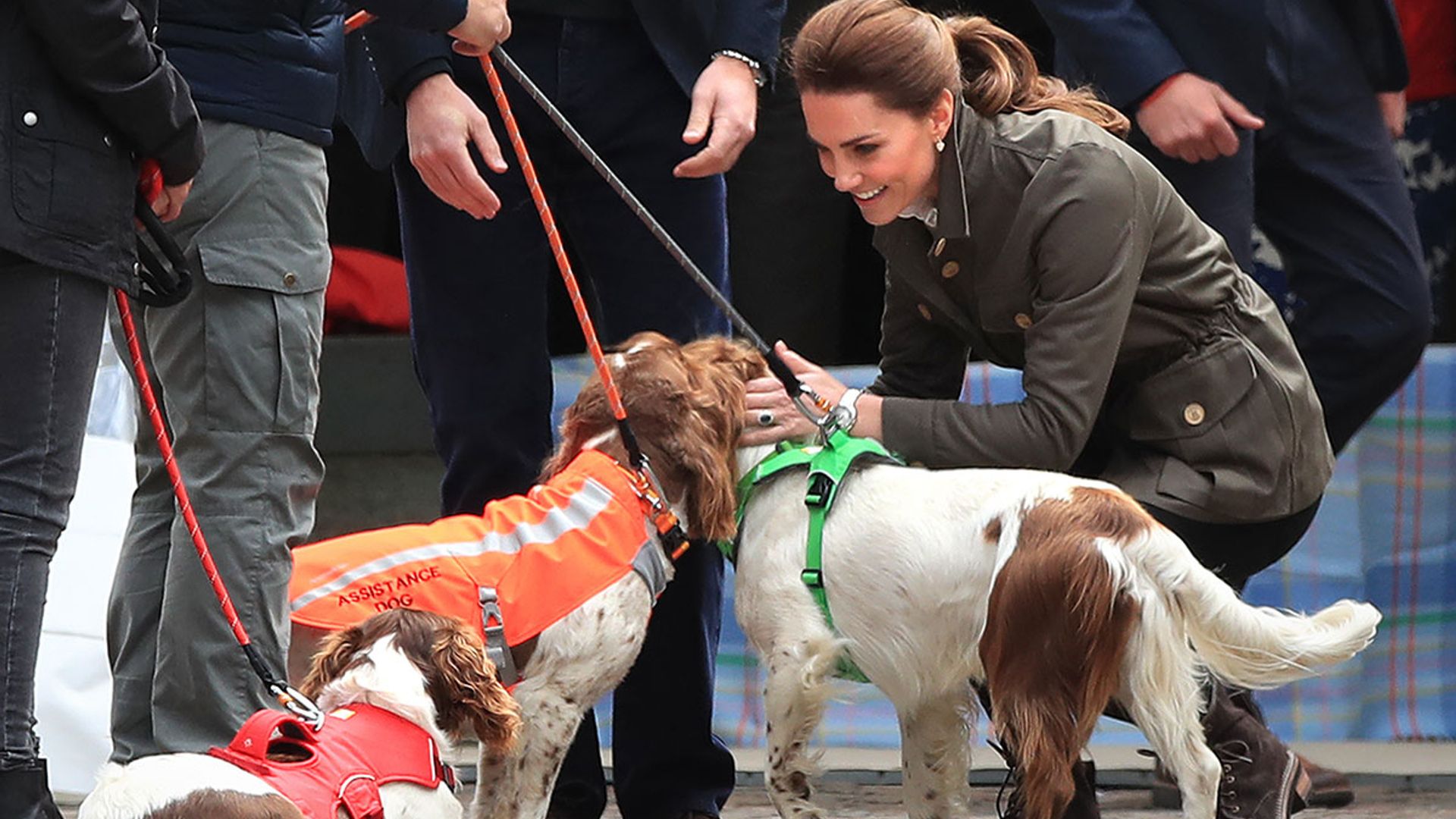kate middleton with dogs