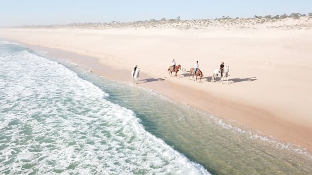 comporta portugal horse riding