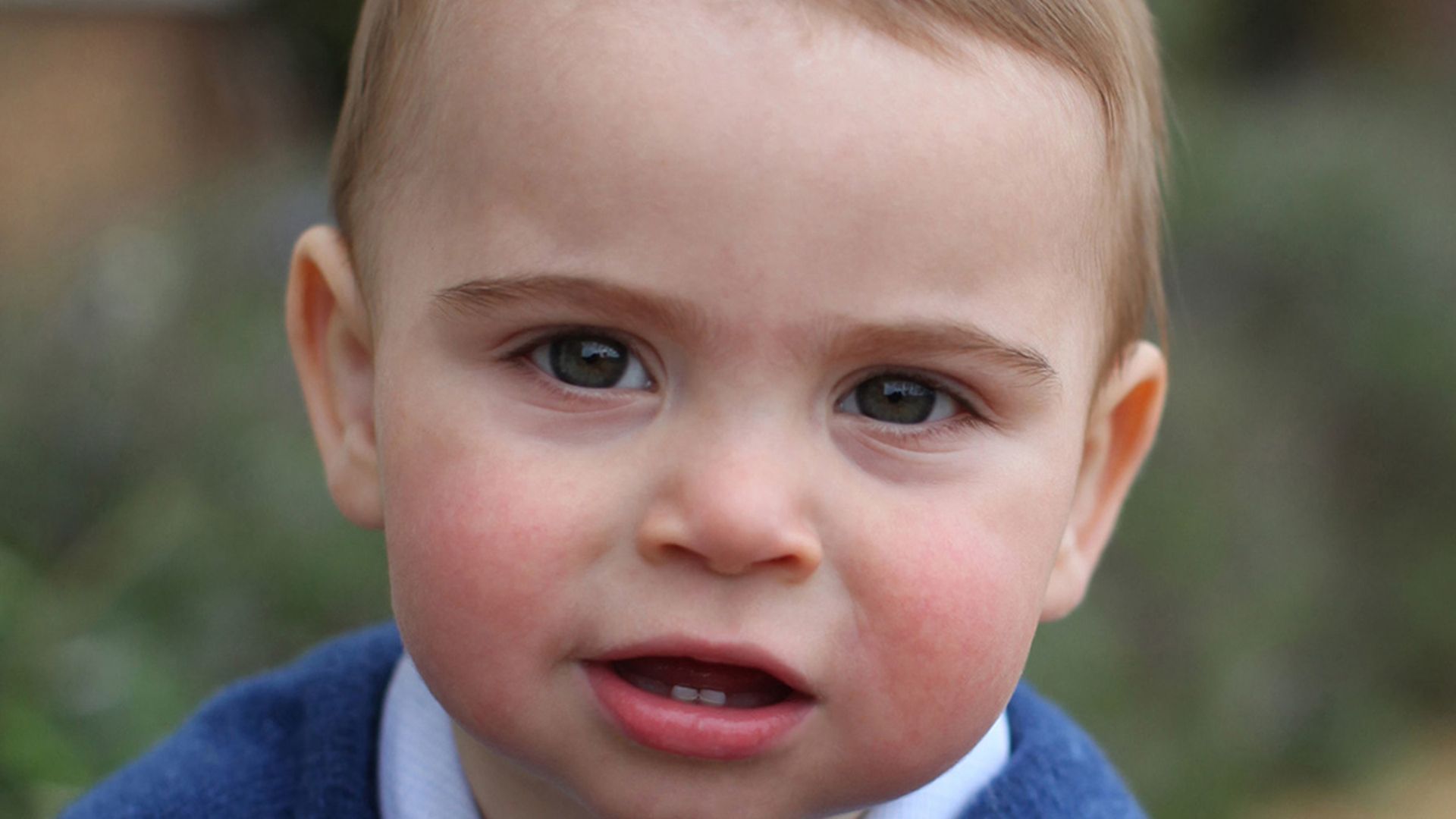 prince louis all the pics