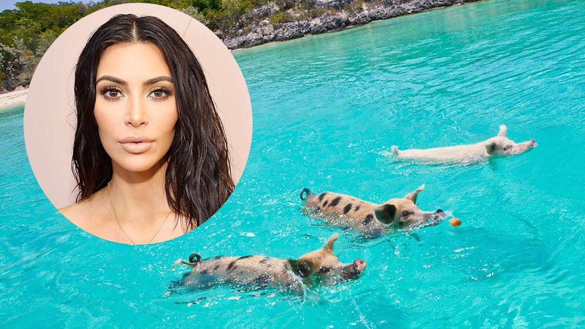 Where is Pig Beach? Inside Kim Kardashian’s family holiday paradise