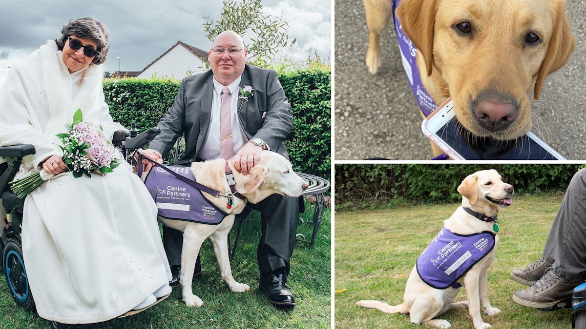 How MS assistance dog Martha makes my world better HELLO!