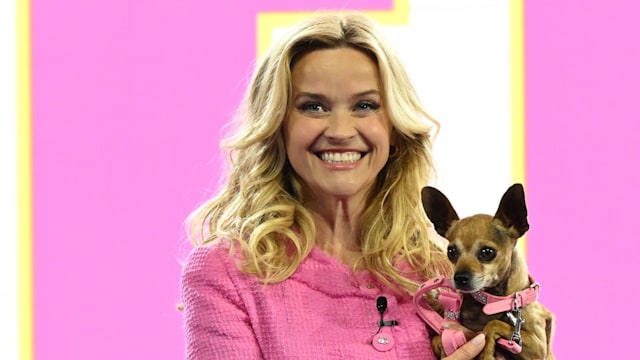 Reese in pink skirt suit holding dog